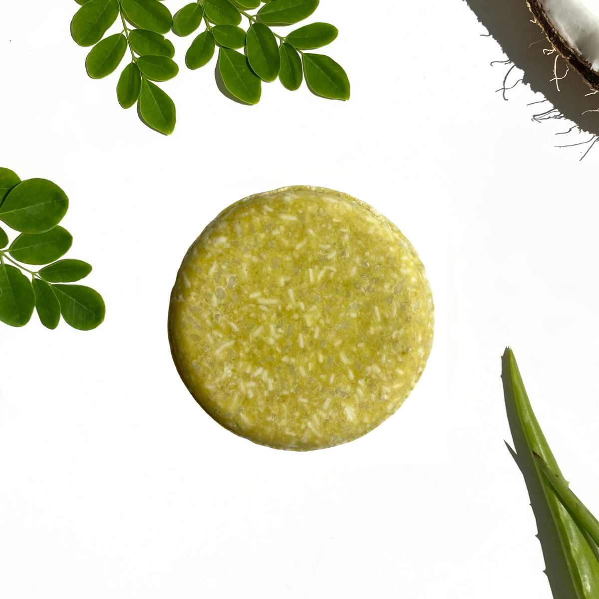 Zest Daze Shampoo Bar