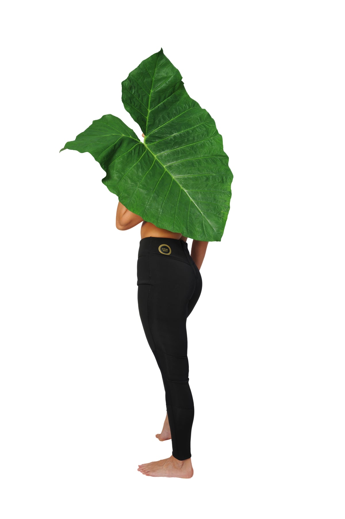 wetsuit, women's wetsuit, 2mm Yulex, wetsuit legging, tall, tall women's wetsuits, tall leggings, elephant ear leaf, leaf, Yulex