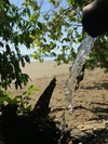 Natural waterfall being collected off a mountain stream through a bamboo tube, that leads into the ocean